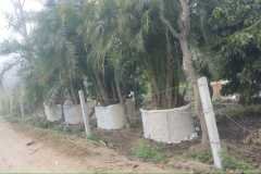 IMG-20230129-WA0006-1