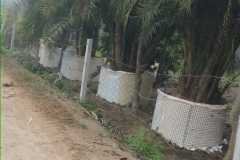 IMG-20230129-WA0008
