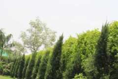 IMG-20230224-WA0118