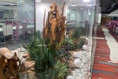 IMG-20230224-WA0124