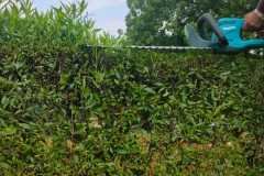 IMG-20230724-WA0091