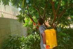 IMG-20230724-WA0093-1