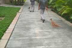 IMG-20230725-WA0000