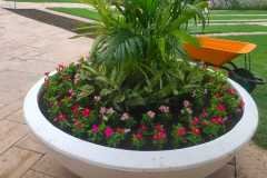 IMG-20230918-WA0057