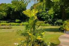 IMG-20231005-WA0031