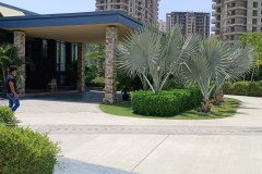 IMG_20230603_124329