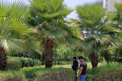 IMG_20230603_124341-1