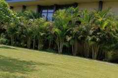 IMG_20230603_124404