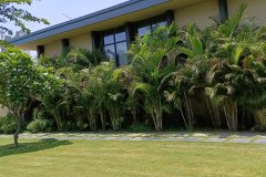 IMG_20230603_124408