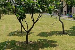 IMG_20230603_124412