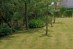 IMG_20230603_124419