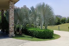 IMG_20230603_124501