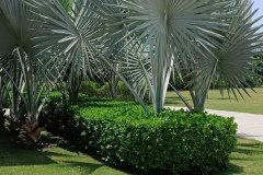 IMG_20230603_124507