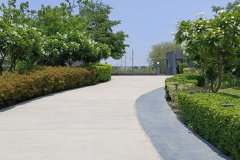 IMG_20230603_124522