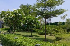 IMG_20230603_124525