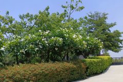 IMG_20230603_124534