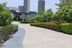 IMG_20230603_124558