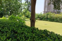 IMG_20230603_124613