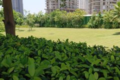 IMG_20230603_124618