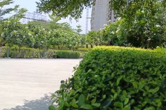 IMG_20230603_124622