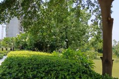 IMG_20230603_124625