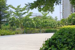 IMG_20230603_124632