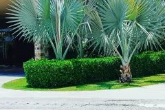 IMG_20230603_154608_480