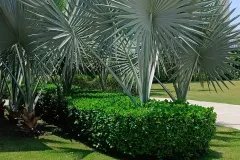 IMG_20230603_161338_186