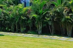 IMG_20230603_161338_305