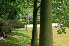 IMG_20230604_225603_024