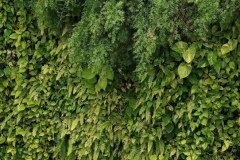 IMG_20230611_115955