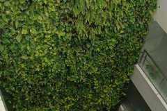 IMG_20230627_151803
