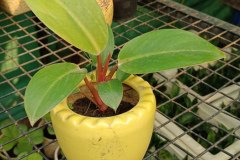 IMG_20231015_081504