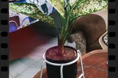 IMG_20231026_182101