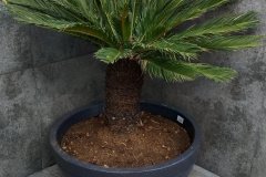 IMG_20231030_145858
